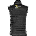 Gillet_Back.webp