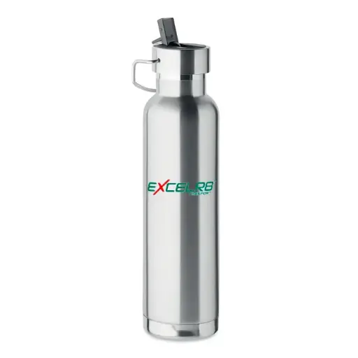 [DVM26IDB-MS6] Team VERTU Insulating Drinks Bottle 2026