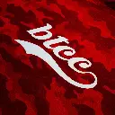 btcc_20camo_20hoodie_203_2048x.webp